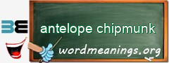 WordMeaning blackboard for antelope chipmunk